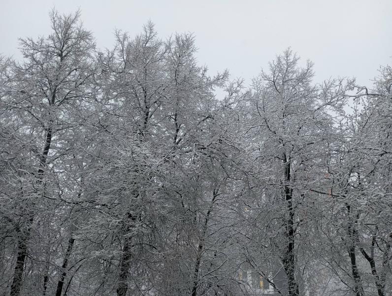 Рязанцам прогнозируют мокрый снег